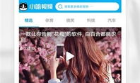 小视频app,捕捉生活瞬间，畅享娱乐盛宴