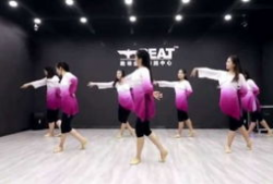 中国舞舞蹈视频,探寻中国舞之美