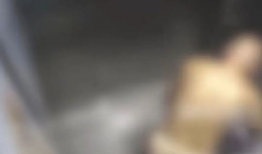 拉屎视频,一场关于人体排泄的奇妙之旅