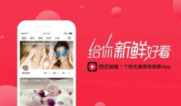 西瓜视频直播,精彩瞬间，尽在掌握