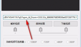 bilibili视频下载器,Bilibili视频下载器深度解析