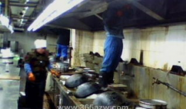 抽油烟机清洗视频教程,告别油污困扰