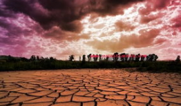 大地视频,探索自然之美，感受生命奇迹