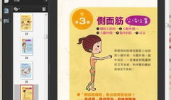 拉筋视频教程全集,全方位拉伸运动技巧解析