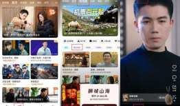 一级视频免费观看,免费观看一级视频的全新体验之旅