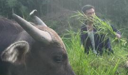 牛牛在线观看视频,畅享海量视频，轻松开启视听盛宴