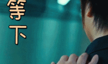 后入式动态视频