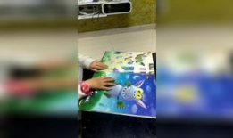 一级视频免费观看,免费观看一级视频的全新体验之旅