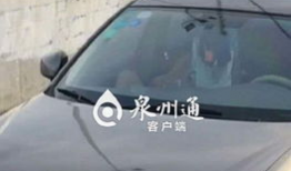 车震视频在线观看,揭秘车震视频背后的秘密与诱惑