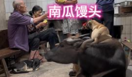 牛牛在线观看视频,畅享海量视频，轻松开启视听盛宴