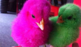 色色色色视频,一场视觉与心理的震撼之旅