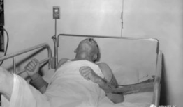 狂犬病视频,从视频看病毒传播与预防措施