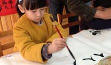 毛笔书法学习视频,跟随视频轻松掌握笔法与结构