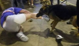 狂犬病视频,从视频看病毒传播与预防措施