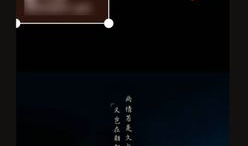 视频水印,技术解析与创意应用