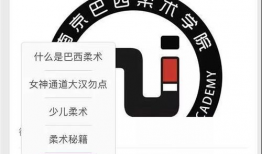 十字固教学视频,从入门到精通